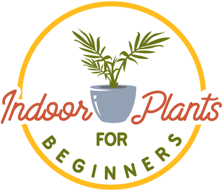 Philodendron Looks Droopy And Limp? (Here’s Why) Indoor Plants For